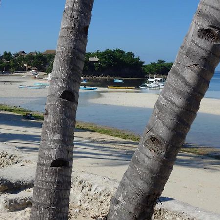 鲨鱼尾巴潜水中心酒店 Daanbantayan 外观 照片