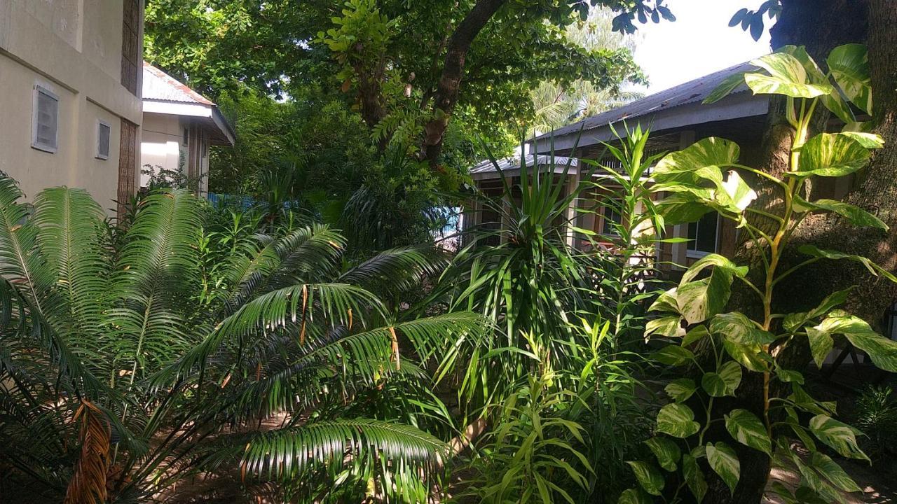 鲨鱼尾巴潜水中心酒店 Daanbantayan 外观 照片