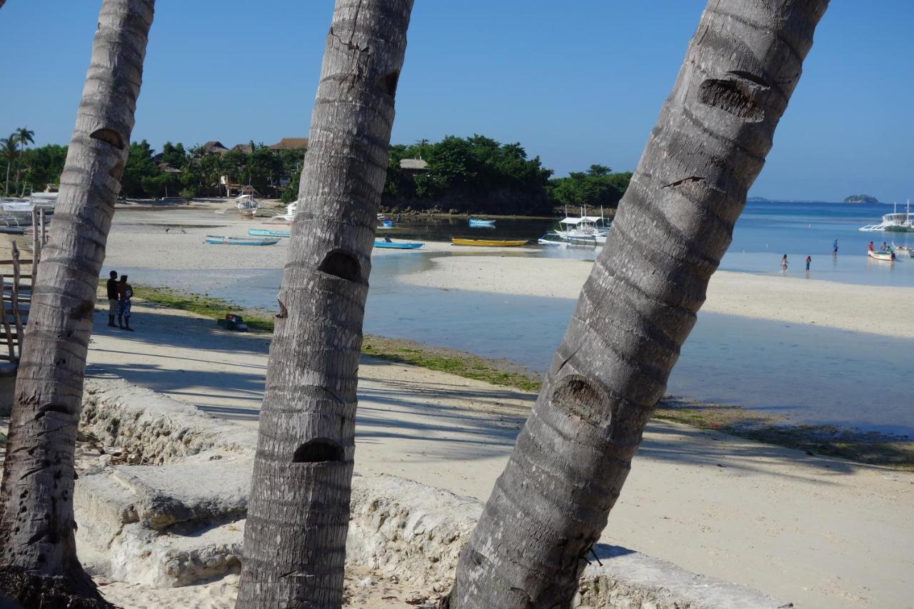 鲨鱼尾巴潜水中心酒店 Daanbantayan 外观 照片