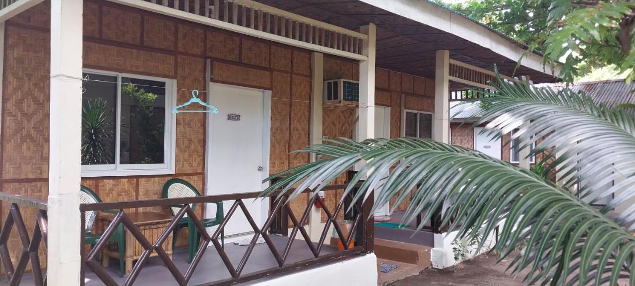 鲨鱼尾巴潜水中心酒店 Daanbantayan 外观 照片